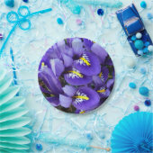 Miniatur Blue Irises Frühblut Pappteller (Party)