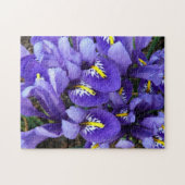 Miniatur Blue Irises Frühblut Puzzle (Horizontal)
