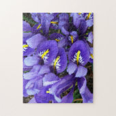Miniatur Blue Irises Frühblut Puzzle (Vertikal)