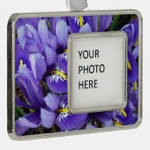 Miniatur Blue Irises Frühblut Rahmen-Ornament Silber (Rechts)