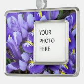 Miniatur Blue Irises Frühblut Rahmen-Ornament Silber (Links)