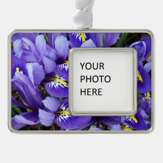 Miniatur Blue Irises Frühblut Rahmen-Ornament Silber (Vorderseite)