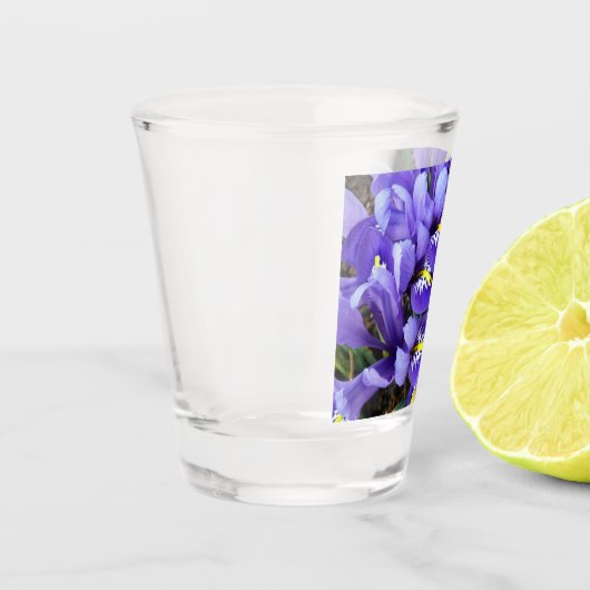 Miniatur Blue Irises Frühblut Schnapsglas (Links)