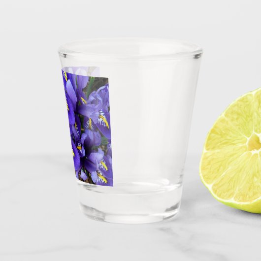 Miniatur Blue Irises Frühblut Schnapsglas (Rechts)