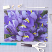 Miniatur Blue Irises Frühblut Seidenpapier (Handwerk)