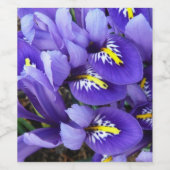 Miniatur Blue Irises Frühblut Weinetikett (Einzelnes Label)