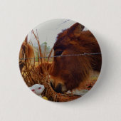 Miniatur Brown Pferd & Ostersonne Button (Vorderseite)