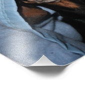 Miniatur Dackel Flüchtige Blick a Boo Fotodruck (Ecke)