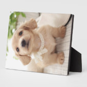 Miniatur-Dackel Fotoplatte (Seite)