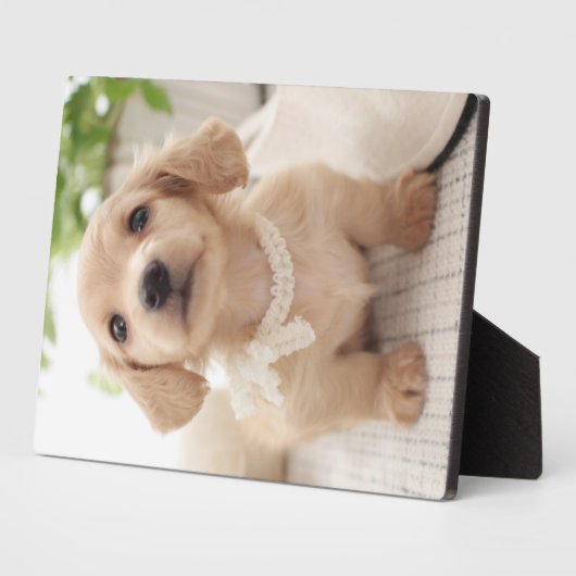 Miniatur-Dackel Fotoplatte (Seite)