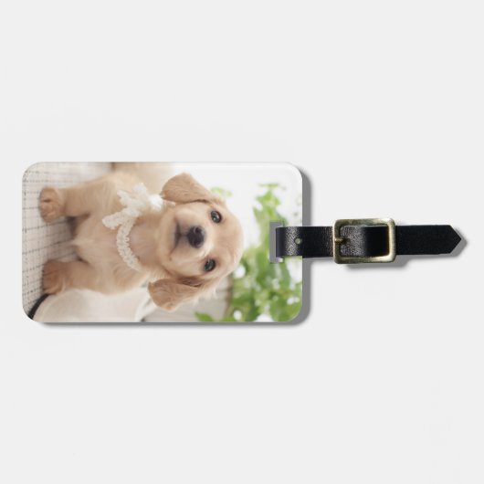 Miniatur-Dackel Gepäckanhänger (Vorderseite horizontal)