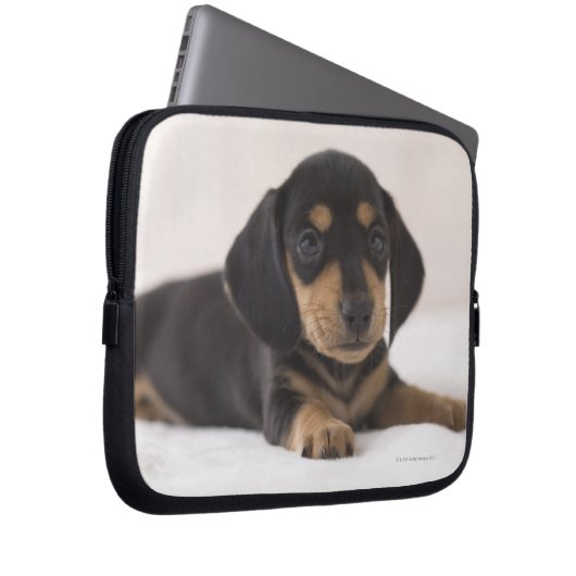 Miniatur-Dackel Laptopschutzhülle (Vorne Rechts)