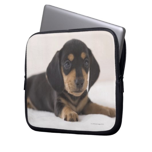 Miniatur-Dackel Laptopschutzhülle (Vorderseite Links)