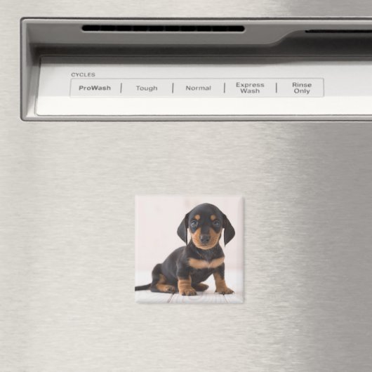 Miniatur-Dackel Magnet (In Situ (Geschirrspüler))