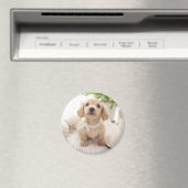 Miniatur-Dackel Magnet (In Situ (Geschirrspüler))