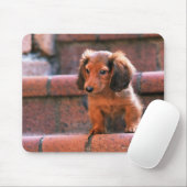 Miniatur-Dackel Mousepad (Mit Mouse)