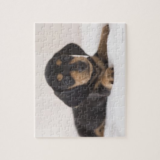 Miniatur-Dackel Puzzle (Vertikal)