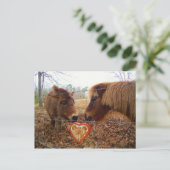 Miniatur Donkey & Horse Herzstück Feiertagspostkarte (Stehend Vorderseite)