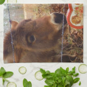 Miniatur Donkey & Horse Herzstück Küchentuch (Gefaltet)