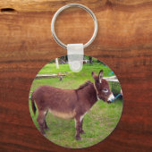 Miniatur-Donkey-Schlüsselanhänger Schlüsselanhänger (Vorderseite)