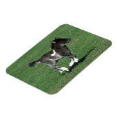 Miniatur Foal Running Magnet (Linke Seite)