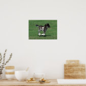Miniatur Foal Running Poster (Küche)