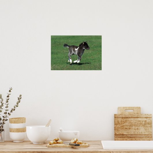 Miniatur Foal Running Poster (Küche)
