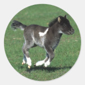 Miniatur Foal Running Runder Aufkleber (Vorderseite)