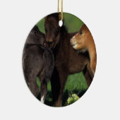 Miniatur-Fohlen 1 Keramikornament (Rechts)