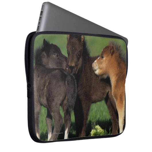 Miniatur-Fohlen 1 Laptopschutzhülle (Vorne Rechts)