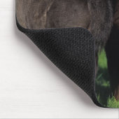 Miniatur-Fohlen 1 Mousepad (Ecke)