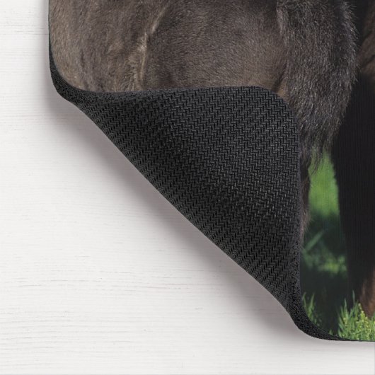 Miniatur-Fohlen 1 Mousepad (Ecke)