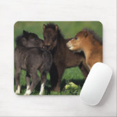 Miniatur-Fohlen 1 Mousepad (Mit Mouse)
