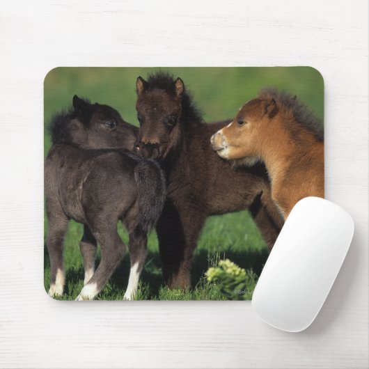 Miniatur-Fohlen 1 Mousepad (Mit Mouse)