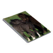 Miniatur-Fohlen 1 Notizblock (Rechte Seite)