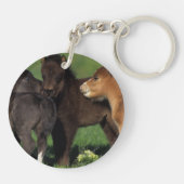 Miniatur-Fohlen 1 Schlüsselanhänger (Rückseite)