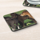 Miniatur-Fohlen 1 Untersetzer (Linke Seite)