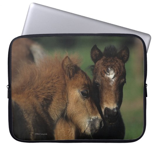 Miniatur-Fohlen 2 Laptopschutzhülle (Vorderseite)