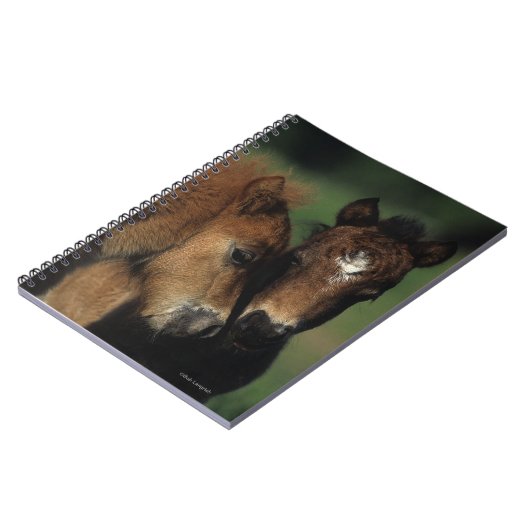 Miniatur-Fohlen 2 Notizblock (Linke Seite)