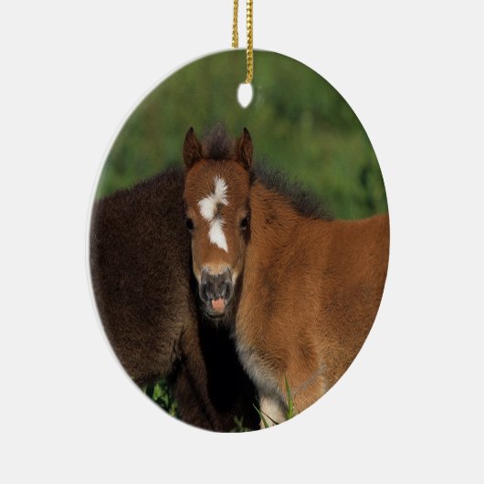 Miniatur fohlt im Gras Keramik Ornament (Rechts)