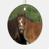 Miniatur fohlt im Gras Keramik Ornament (Links)