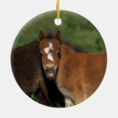 Miniatur fohlt im Gras Keramik Ornament (Hinten)