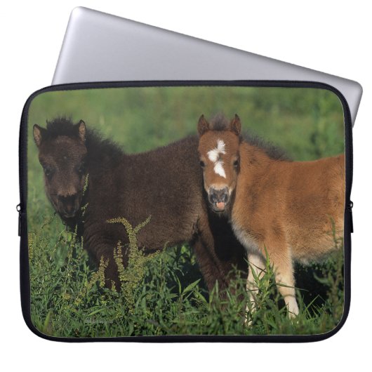 Miniatur fohlt im Gras Laptopschutzhülle (Vorderseite)