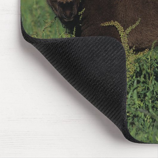 Miniatur fohlt im Gras Mousepad (Ecke)