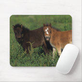 Miniatur fohlt im Gras Mousepad (Mit Mouse)