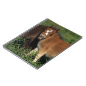 Miniatur fohlt im Gras Notizblock (Linke Seite)