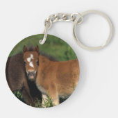 Miniatur fohlt im Gras Schlüsselanhänger (Rückseite)