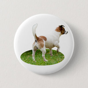 Miniatur Fox Terrier Alert, Round Abzeichen Button
