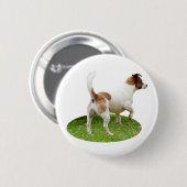 Miniatur Fox Terrier Alert, Round Abzeichen Button (Vorne & Hinten)