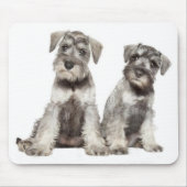 Miniatur-Grauschnauzer-Welpen-Hundepolster Mousepad (Vorne)